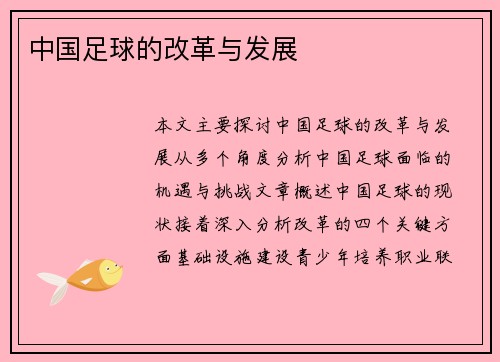 中国足球的改革与发展