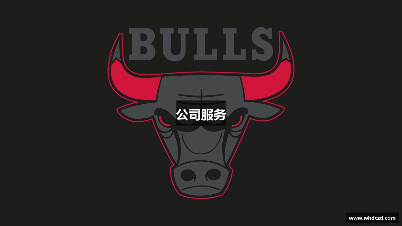 公司服务